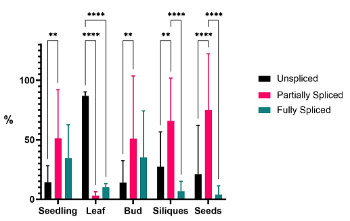 Fig 2 K Lindsey MRes