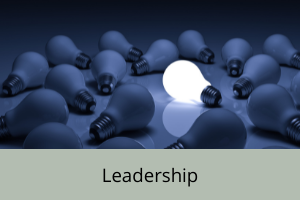 Lit bulb among dark bulbs illustrating leadership