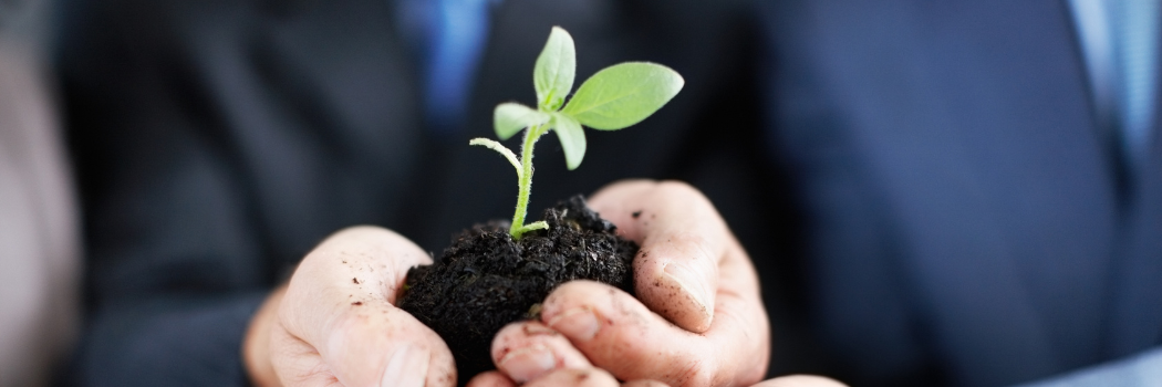 Business person holding leaf in cupped hands