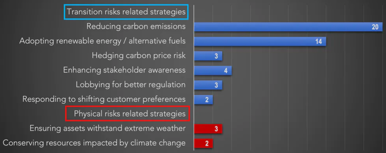 The numbers refer to the number of companies that had identified each risk. Adams/Abhayawansa