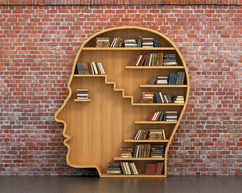 A bookcase in the shape of a head