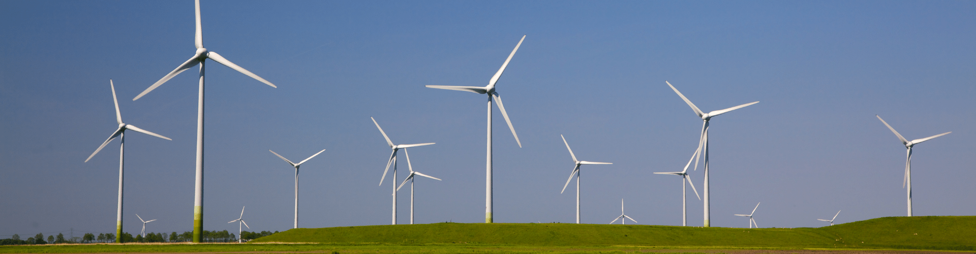 Windfarm