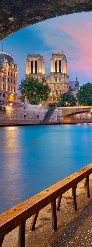 Notre Dame viewed from the river