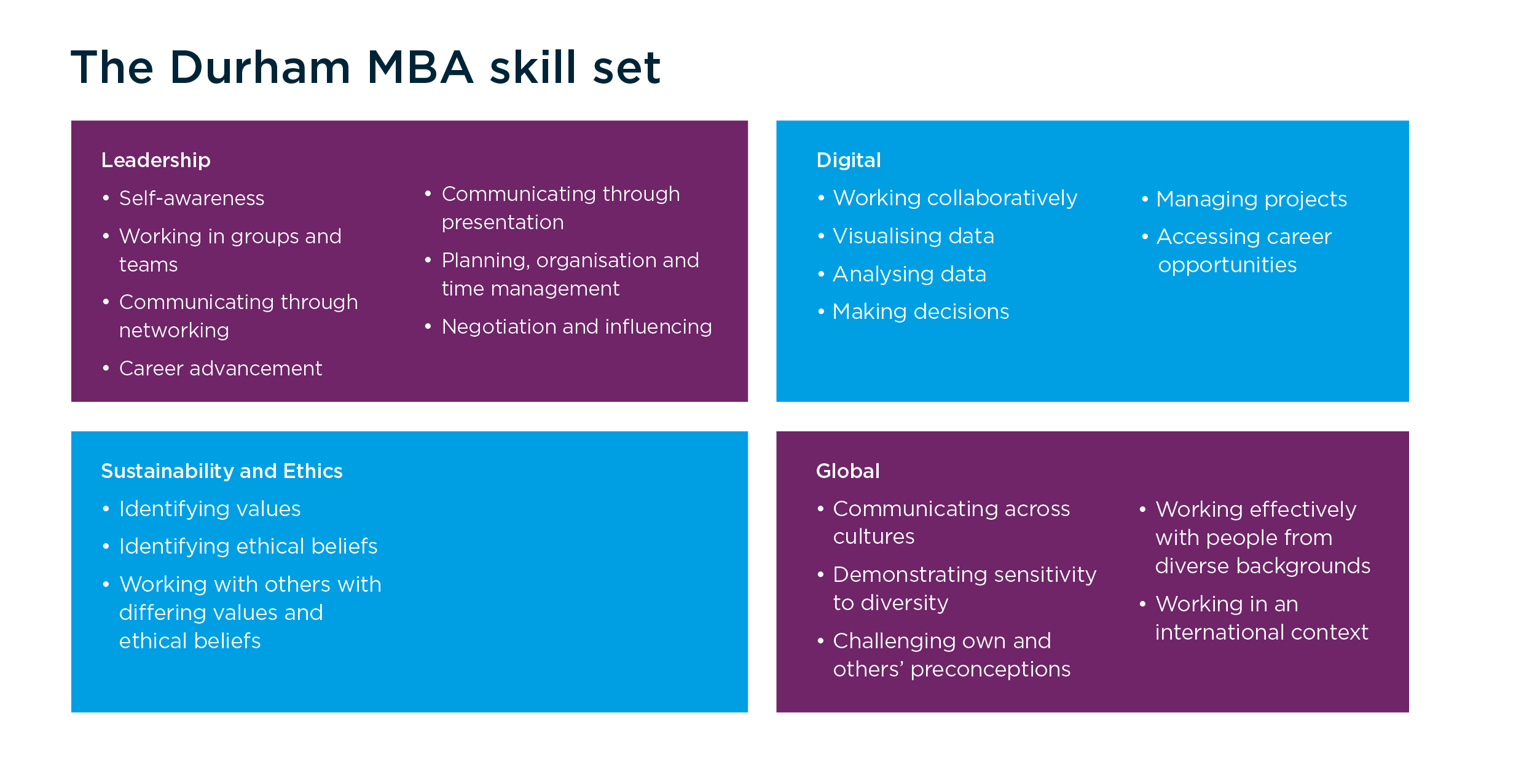 Diagram showing the Durham MBA skill set