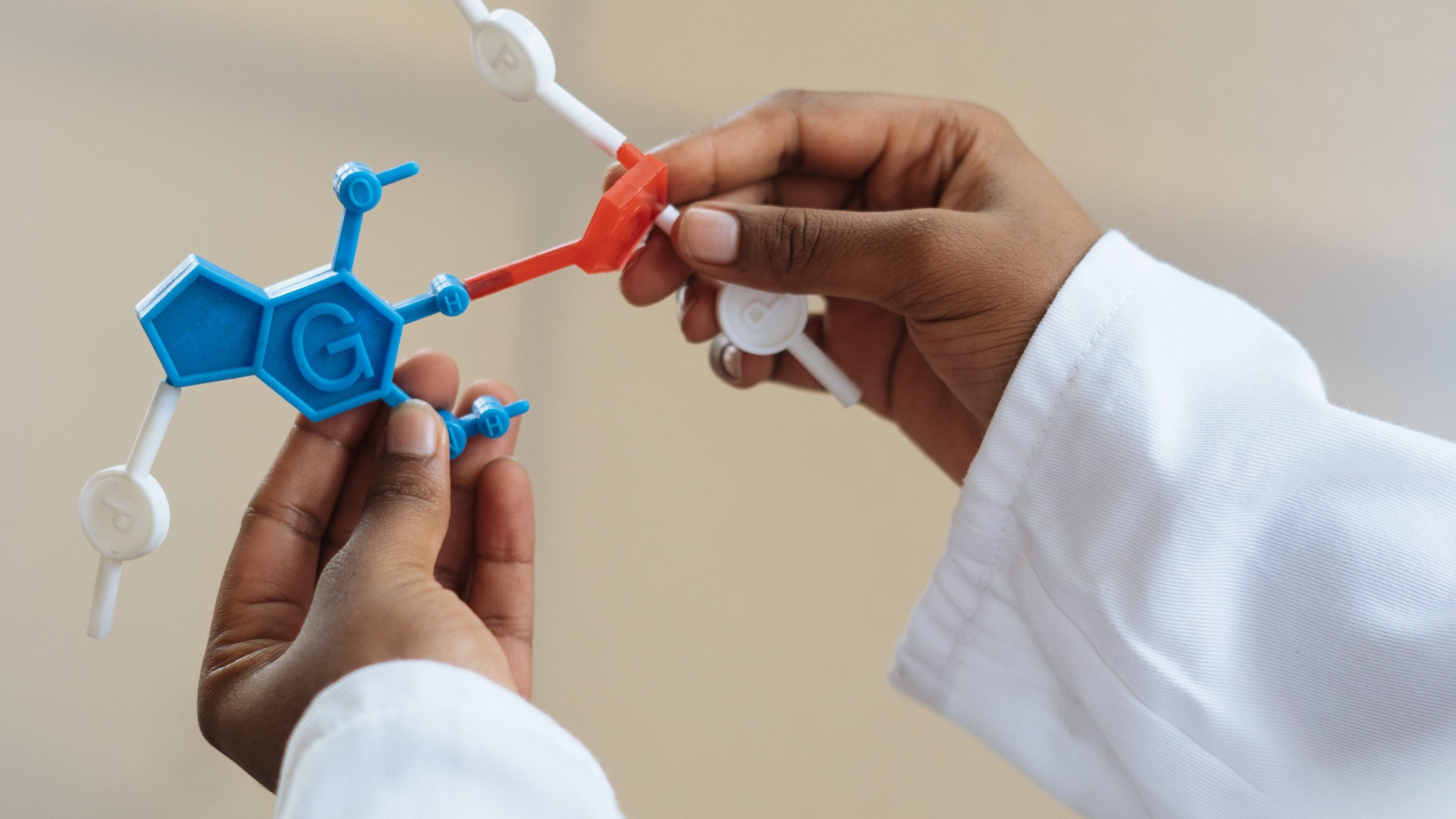 A scientist holds a molecule model