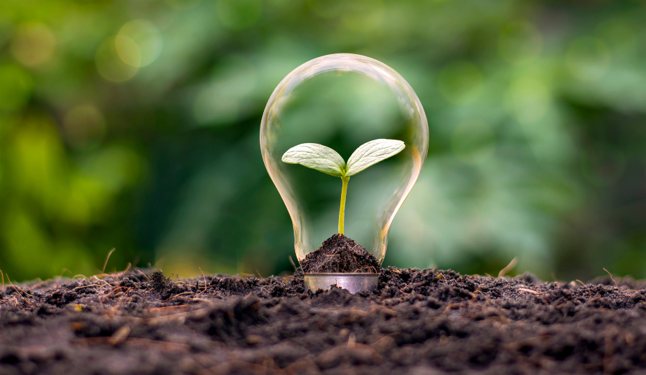 A lightbulb with a plant growing inside and partially buried in soil