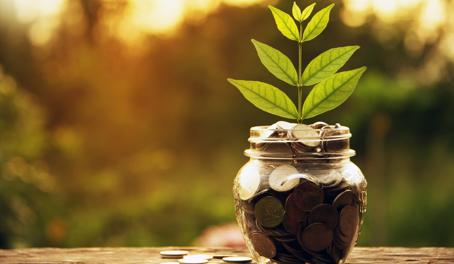 A plant shoot growing from a jar of coins as the sun rises in the distance