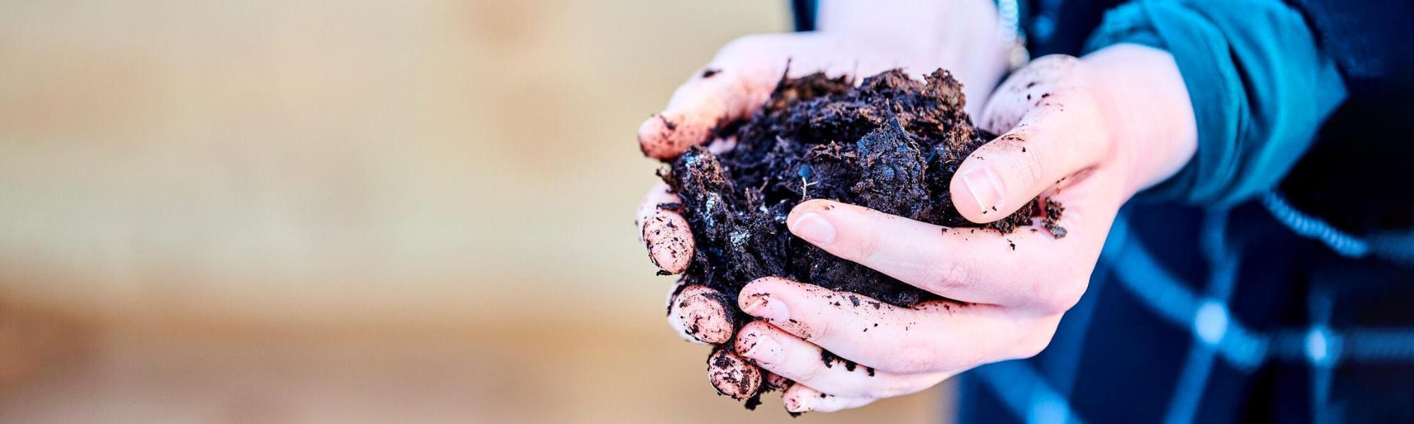 Hands holding compost