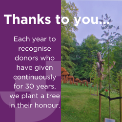 Thanks to you - 30 yr tree