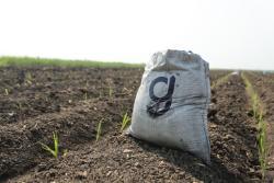 A bag with the letter 'G' as a logo, sitting in a field