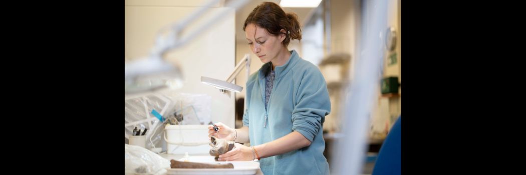 Female researcher working at scientific equipment