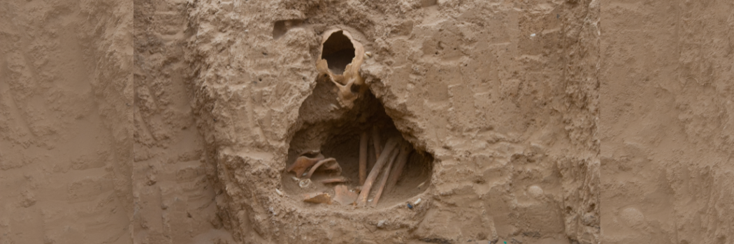 Ancient remains in a wall