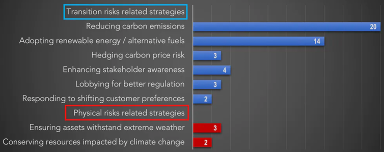 Graph of companies and their climate risk strategies
