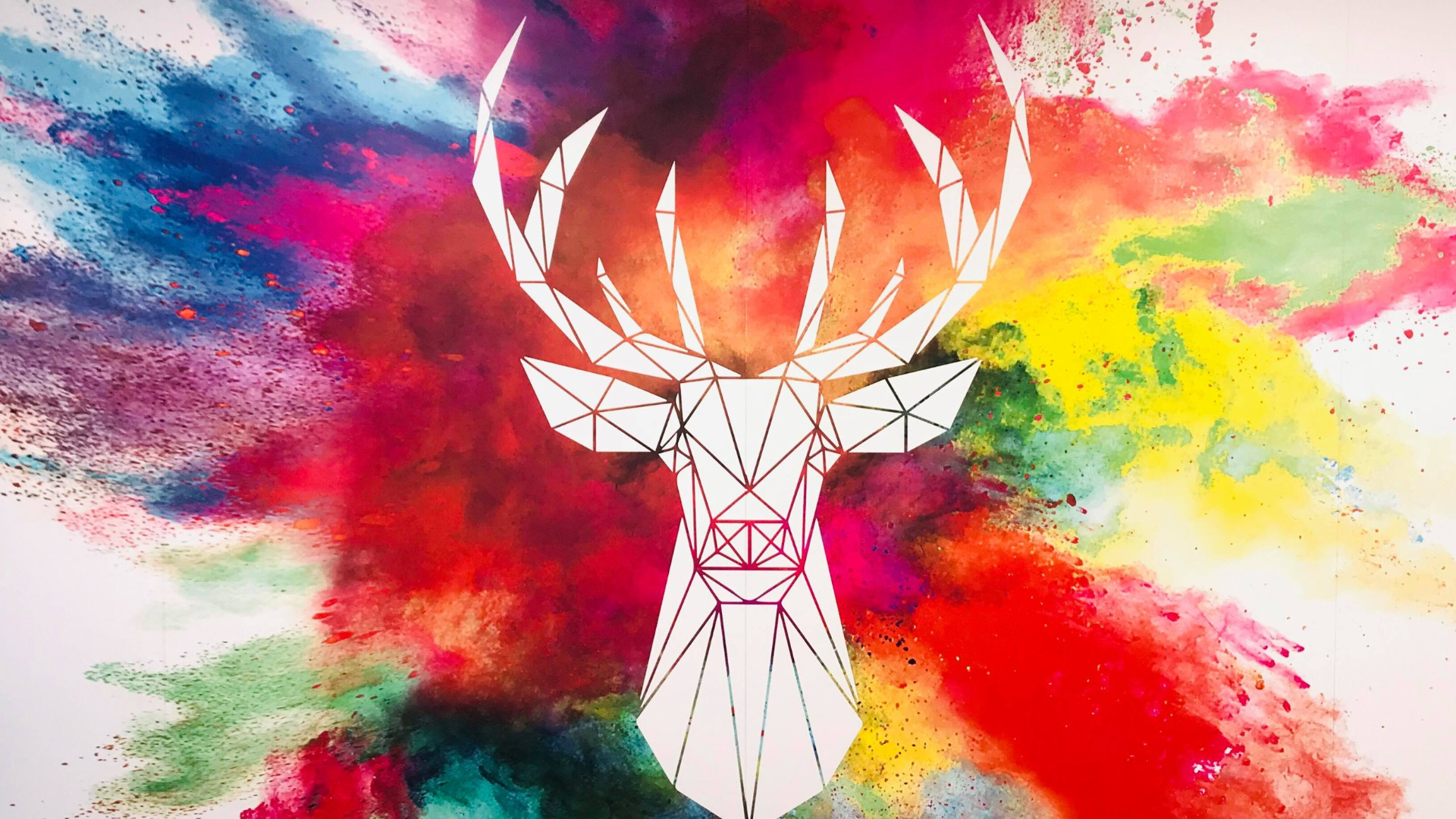 Graphic of stag on paint splash style background