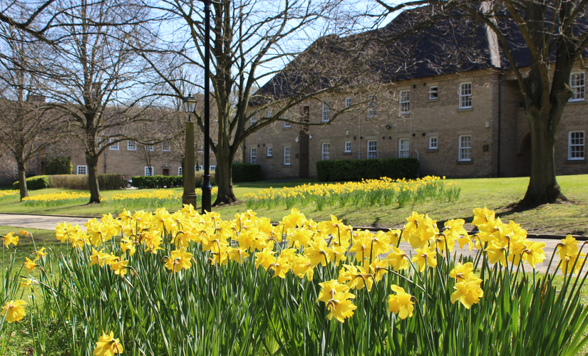 St Mary's College in Spring 2