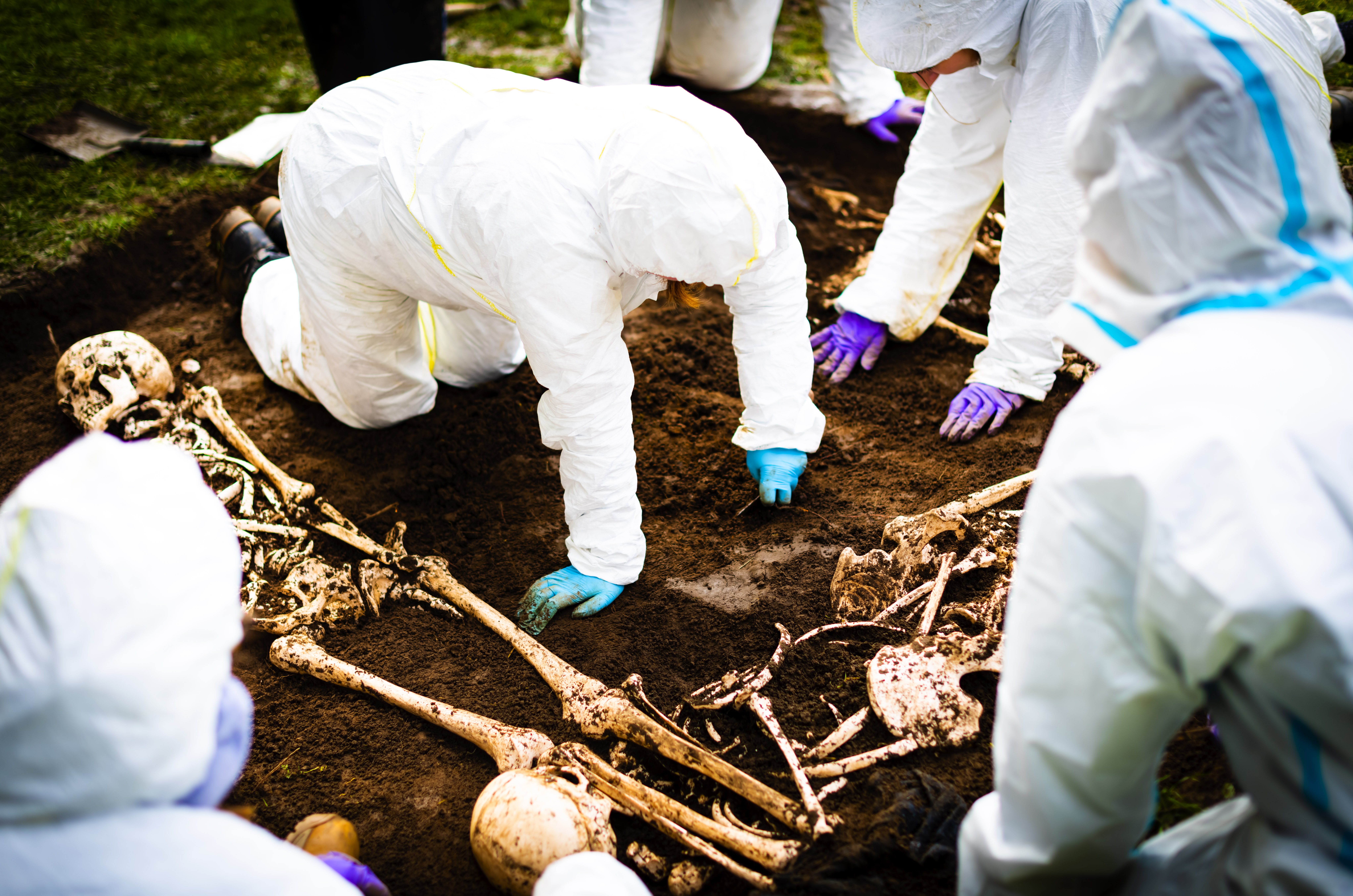 Student in white protective clothing unearthing a skeleton cast