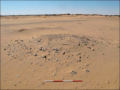 Photograph of archaeological remains in the desert