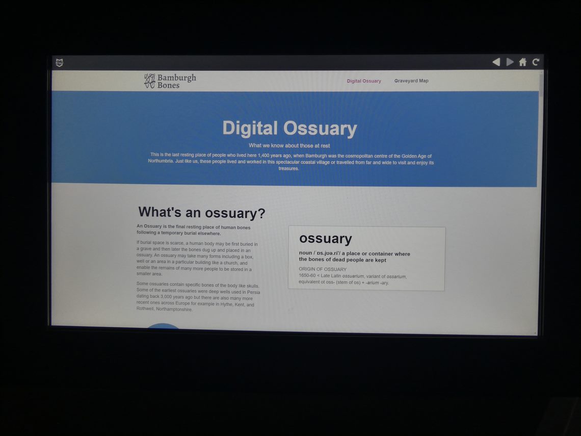 Digital interactive screen