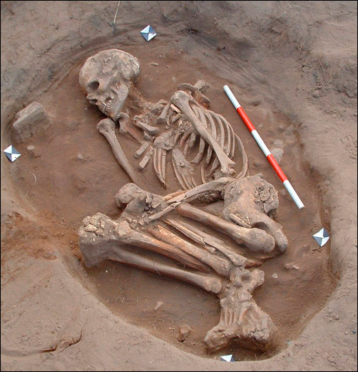 Crouched skeleton under excavation