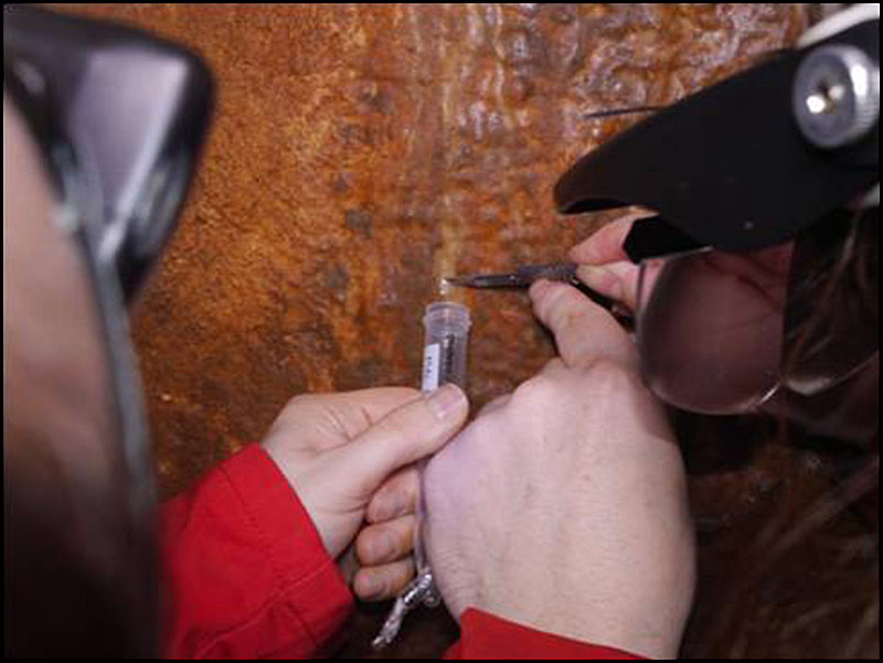 Samples being collected from a cave wall for dating