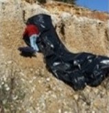 Photograph of fieldwork being undertaken within a quarry