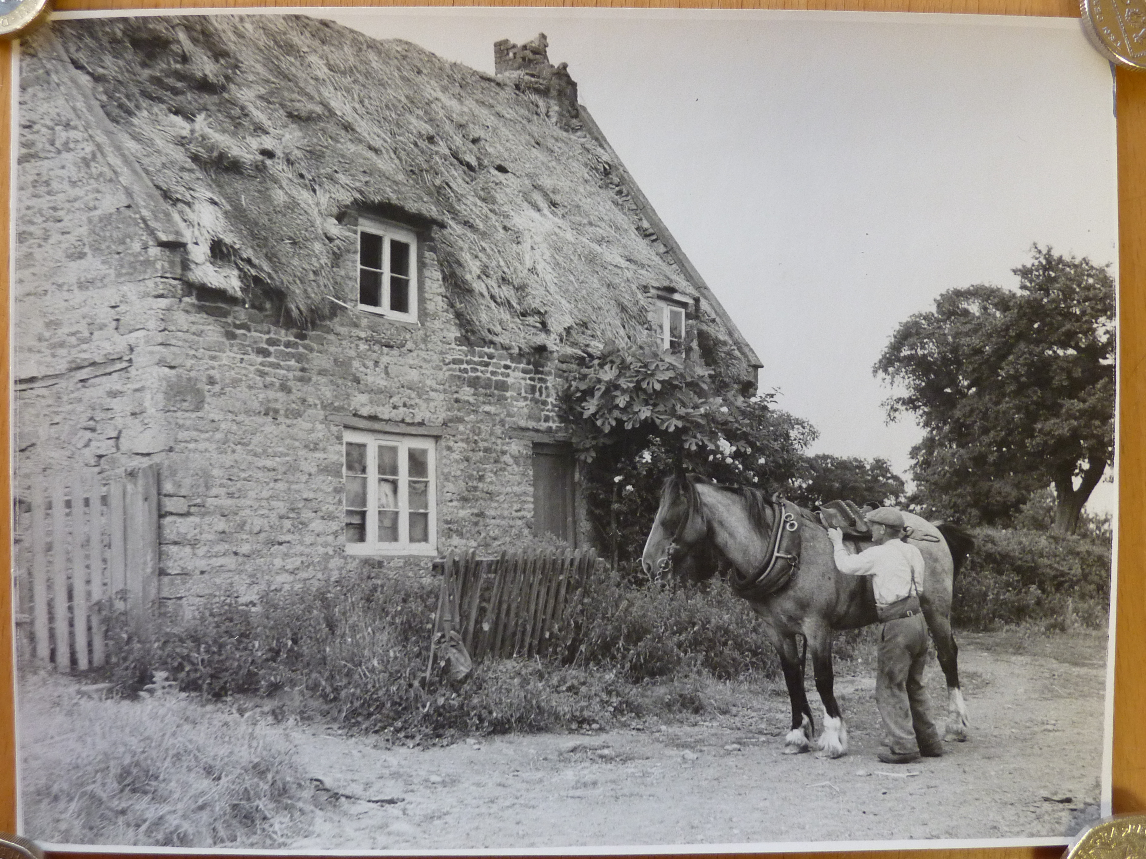 House with horse and man in front