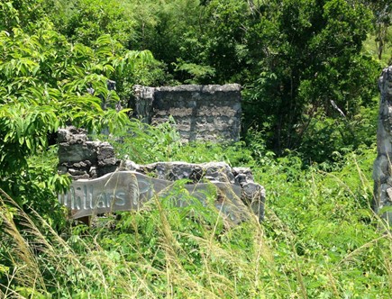 Part of Millars Plantation, showing leafy green trees and bushes overgrowing remnants of stone walls, with a sign saying Millars Plantation partially visible.