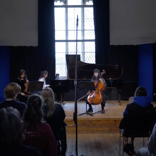 woman playing the cello