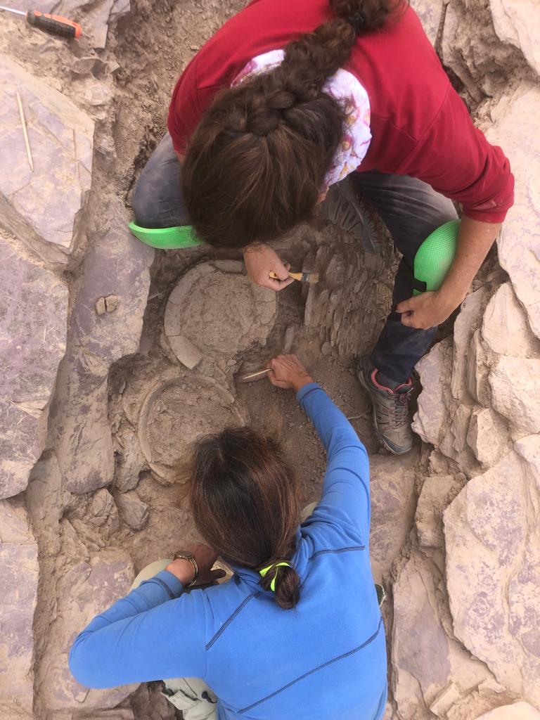 Aerial photo of two archaeologists excavating a burial with delicate tools. There appear to be the remains of round vessels uncovered.