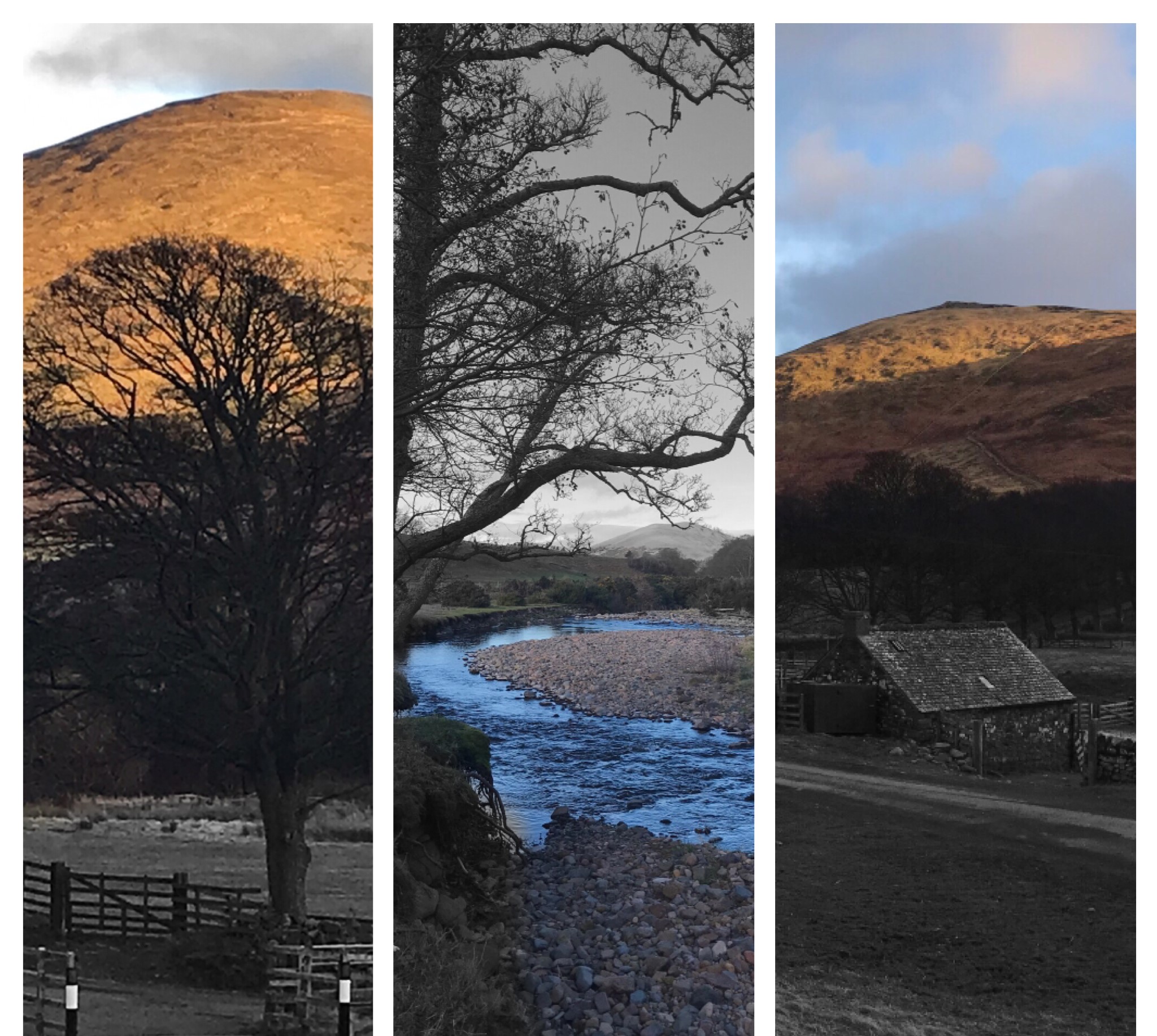 Collage of photos from the Cheviot Hills