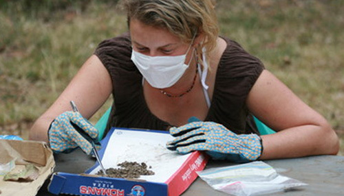 A person examines objects found on fieldwork