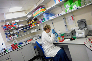 A person preparing samples in the DNA lab