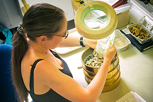 A person preparing samples in the Environmental Processing Lab