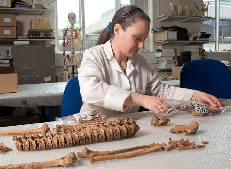 A person preparing human remains in the Fenwick Human Osteology lab