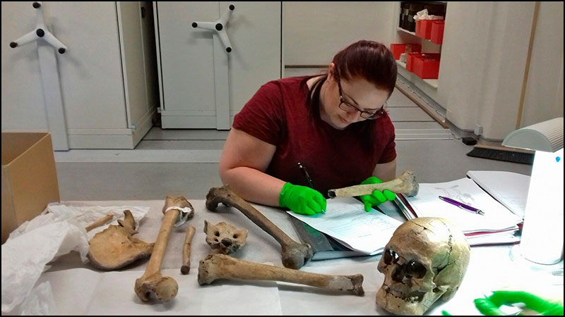 Archaeologist examining human bones and writing on a clipboard