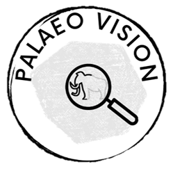 paleovision logo