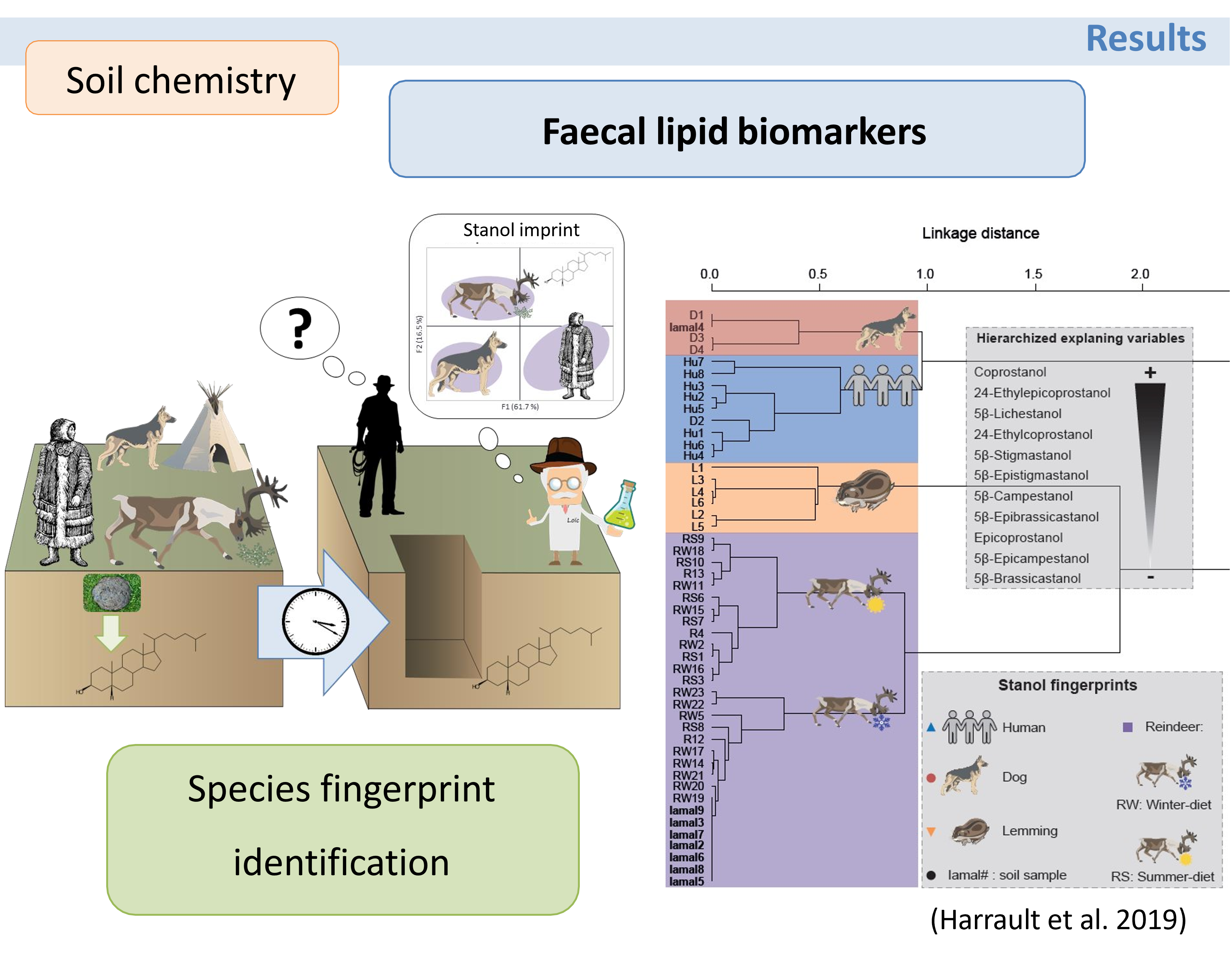 Diagram showing faecal lipid biomarkers over time for different species and diets