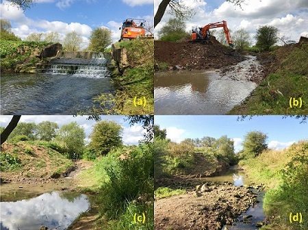 Weir on a Northeast English stream removed by Tees Rivers Trust - a) before, b) during, c) after, d) 17 months after, removal.