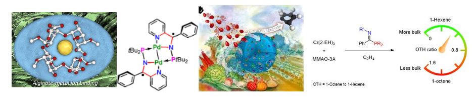Sustainable Chemistry Molecules