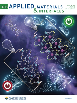 Poster text reads Applied Materials & Interfaces.  Poster image is of molecular diagrams powering lightbulbs