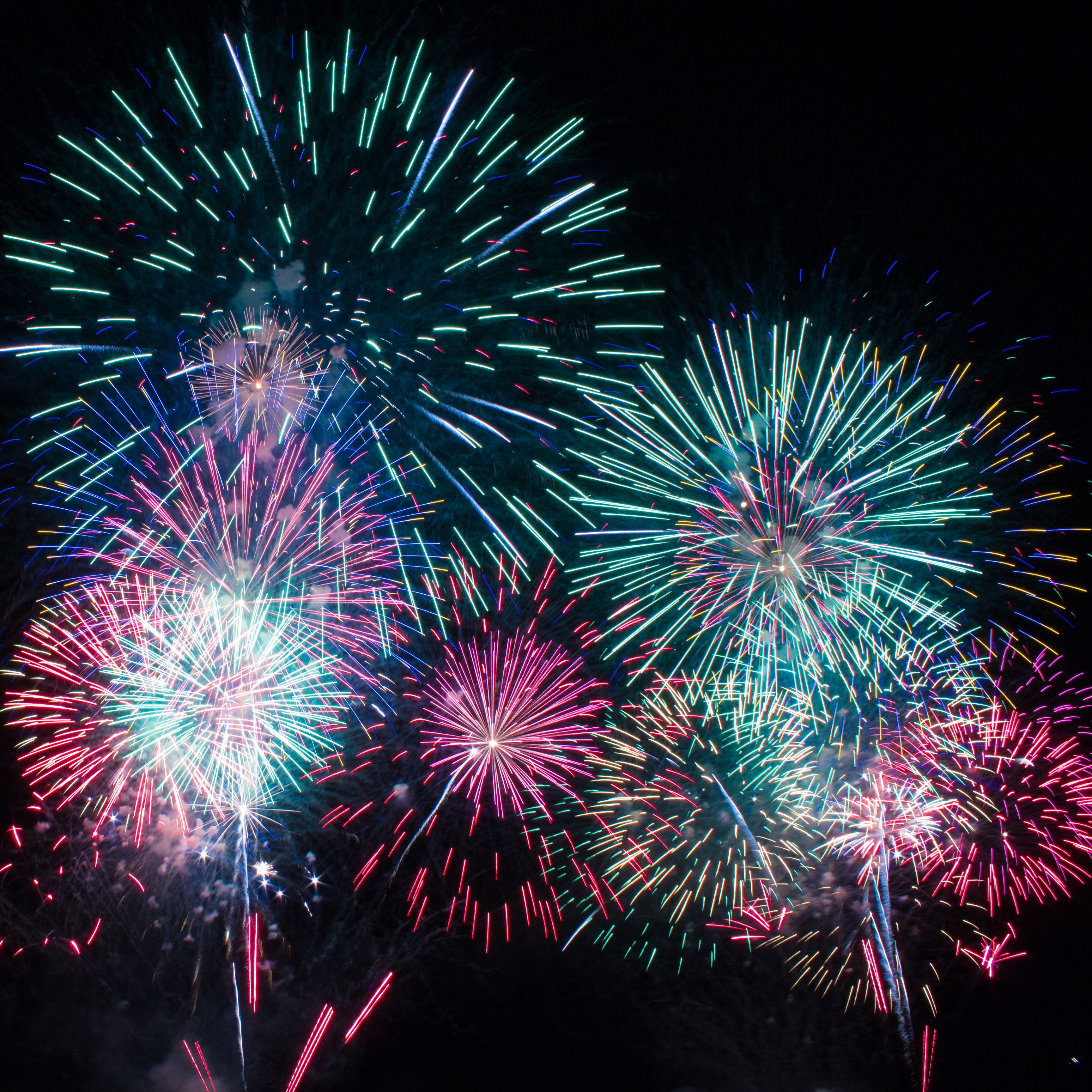 Colourful fireworks in the night sky.