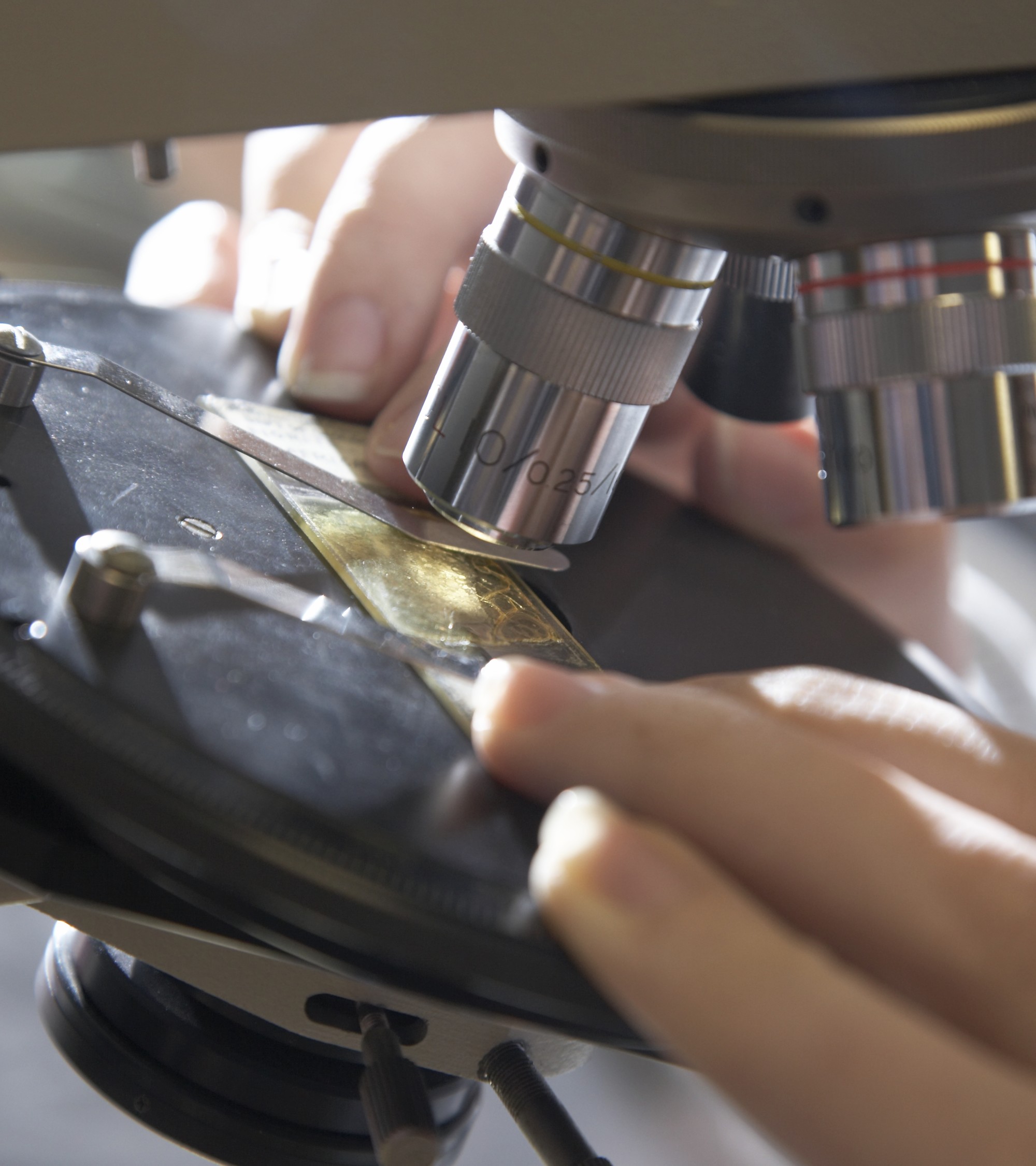 Earth Sciences - Earth Materials Class Lab Work