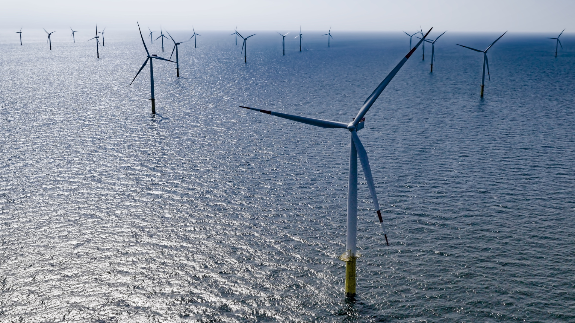Offshore wind farm