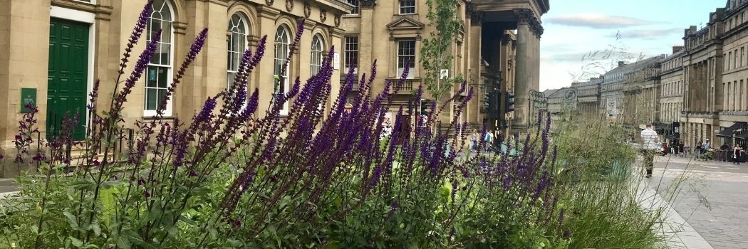 Image of flowers in Newcastle city centre