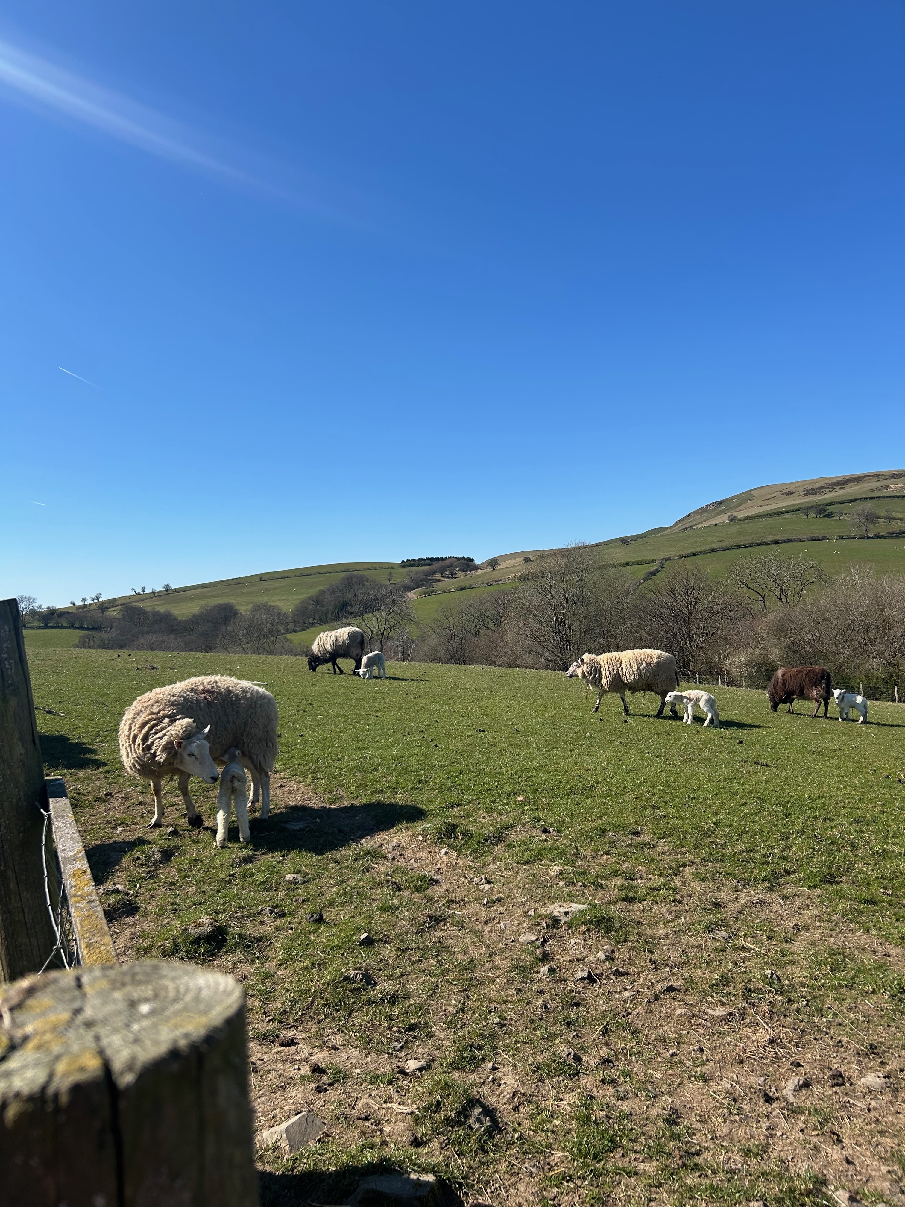 Wales and the countryside