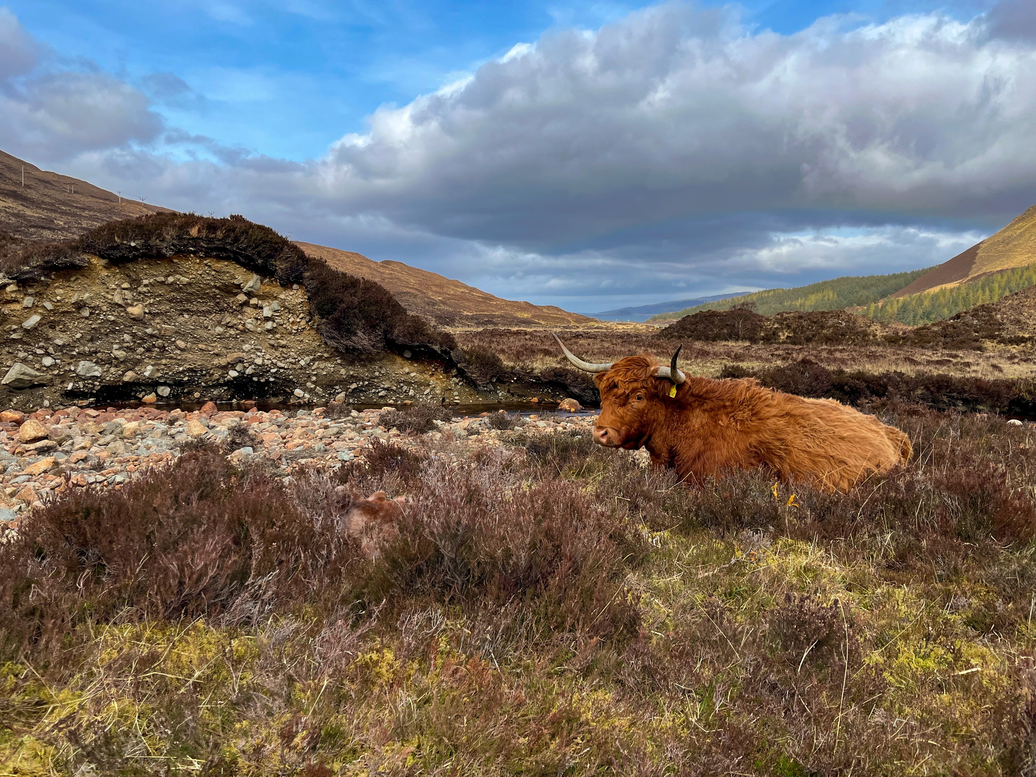 Glenn Torra Mhichaig, Isle of Skye
