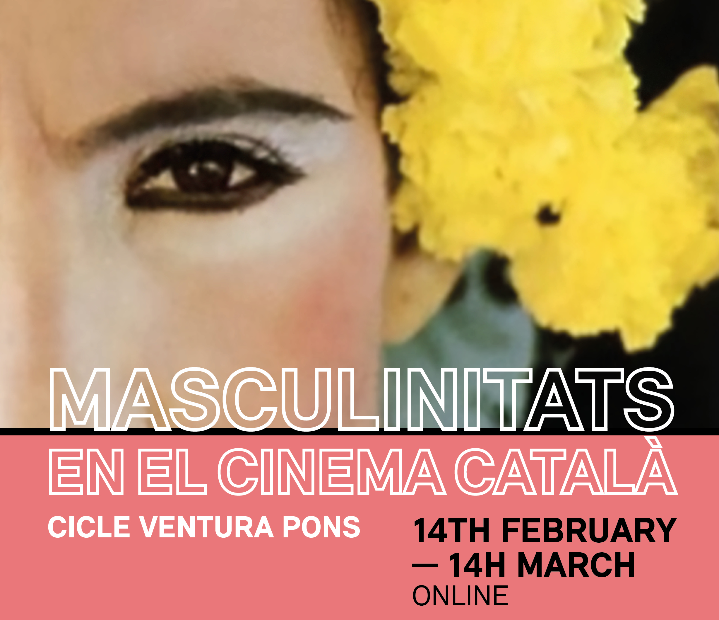 Catalan Film Series Cropped