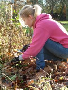 Girl knelt cutting back weeds in park