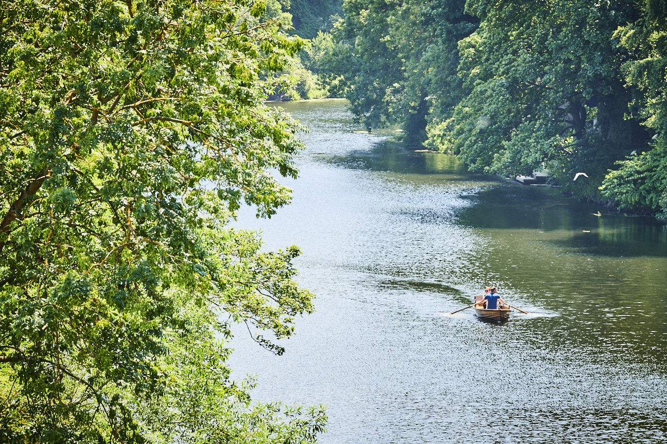 Rowing boat on river