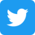 Twitter Social Media Icon